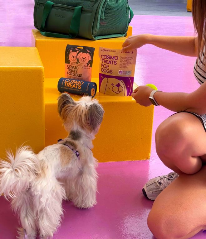 et宠物零食以昆虫蛋白开辟全新赛道不朽情缘中俄联合品牌cosmop(图2)