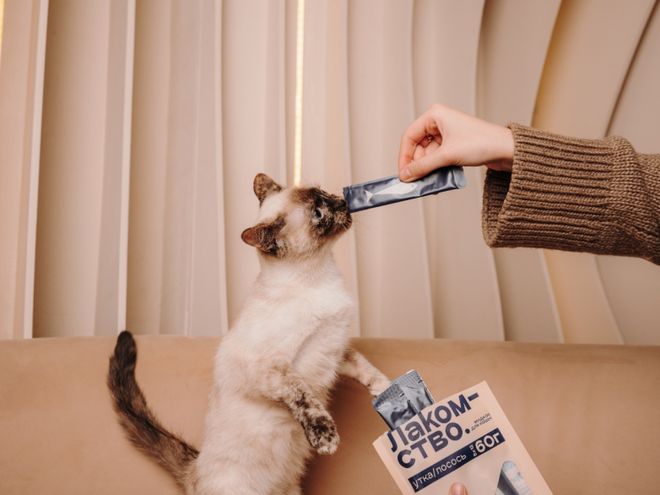 et宠物零食以昆虫蛋白开辟全新赛道不朽情