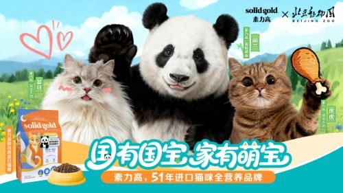 力高携手顶流熊猫萌兰以科学营养守护猫咪肠道健康不朽情缘游戏手机版健合集团SolidGold素(图1)