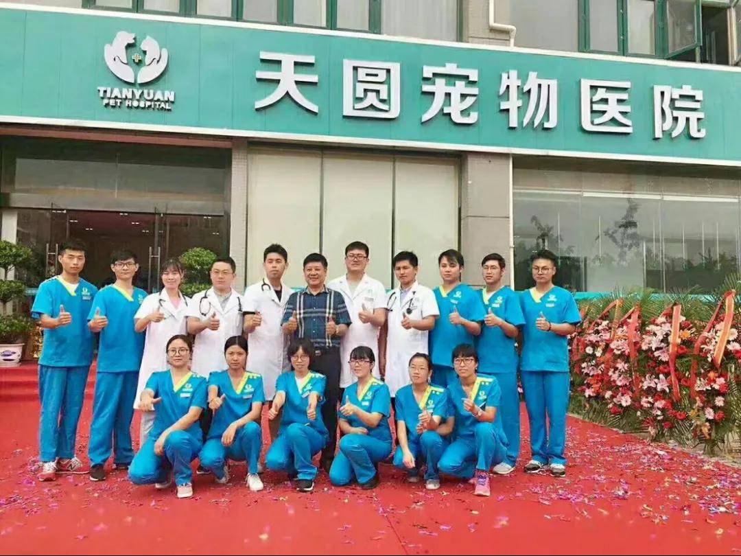 赛道跨界盘活“冷门生意”年销5亿登顶类目不朽情缘手机版对话盛锦合创始人：押注百亿(图2)